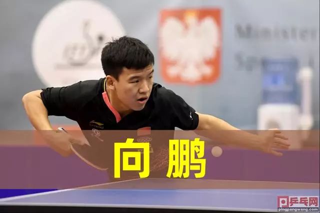 叹森林狼管 叹森林狼管